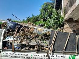 Best Basement Cleanout  in Lake Linden, MI