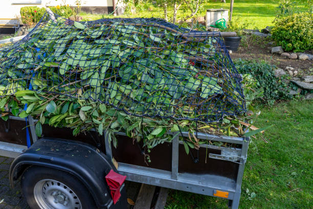 Best Residential Junk Removal  in Lake Linden, MI